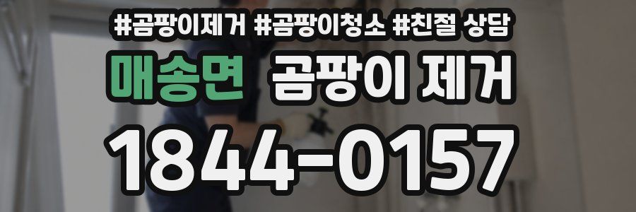 매송면 곰팡이 제거
