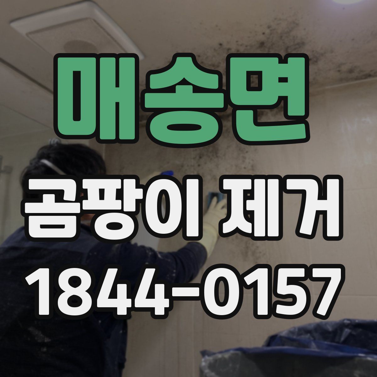매송면 곰팡이 제거