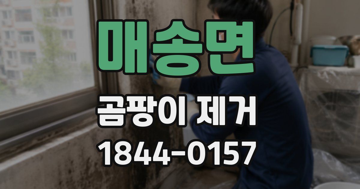 매송면 곰팡이 제거