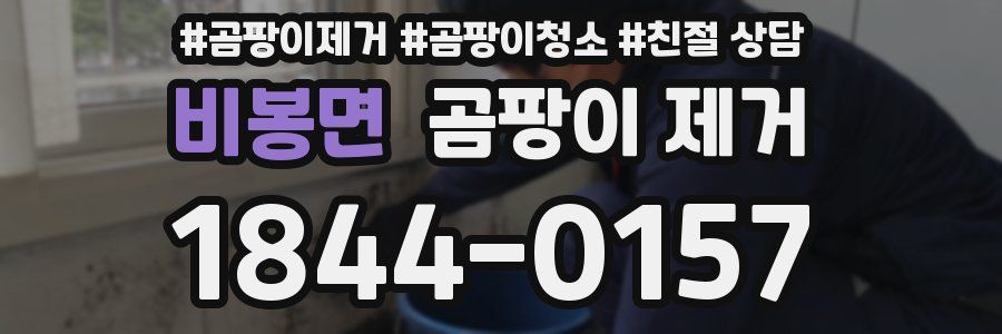 비봉면 곰팡이 제거