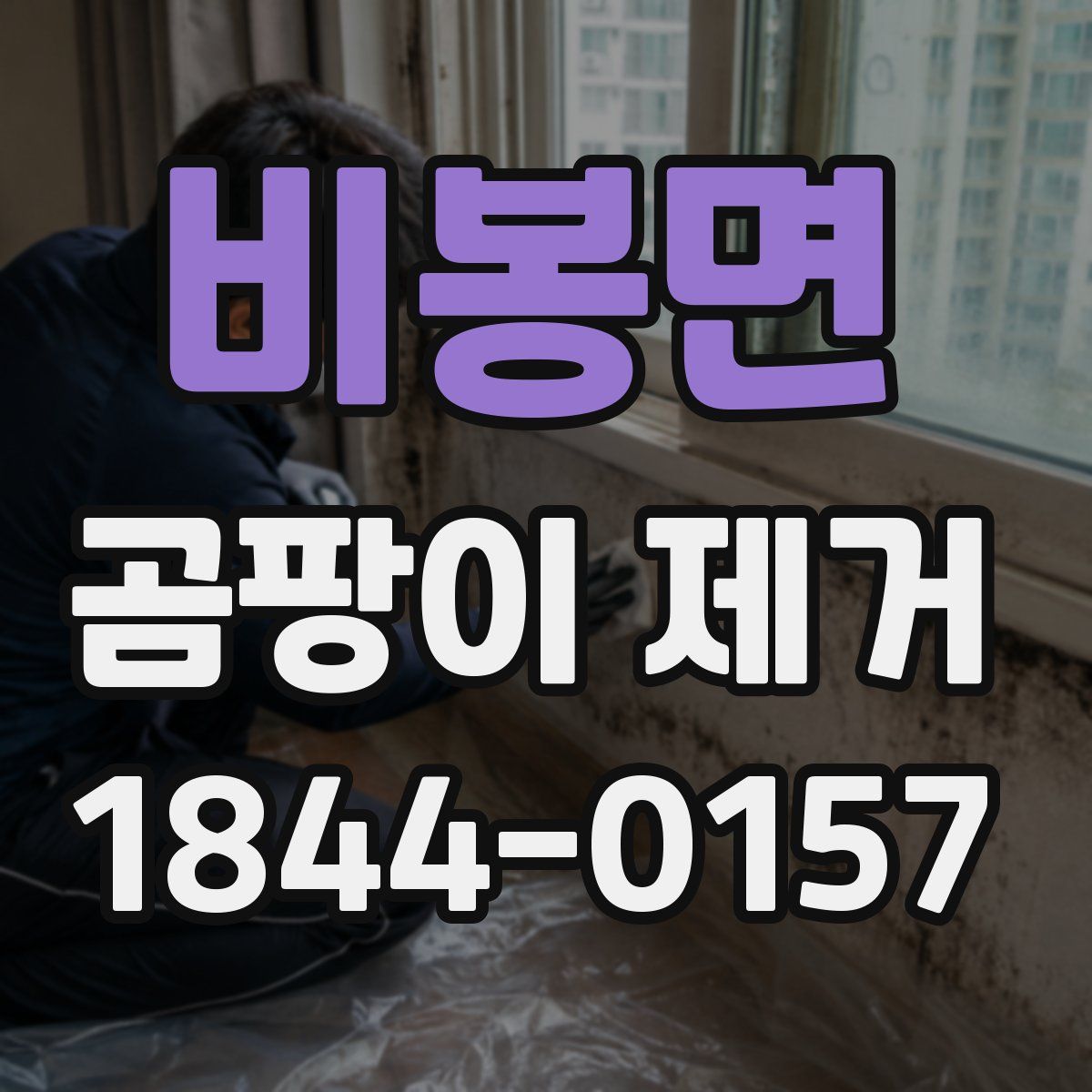 비봉면 곰팡이 제거