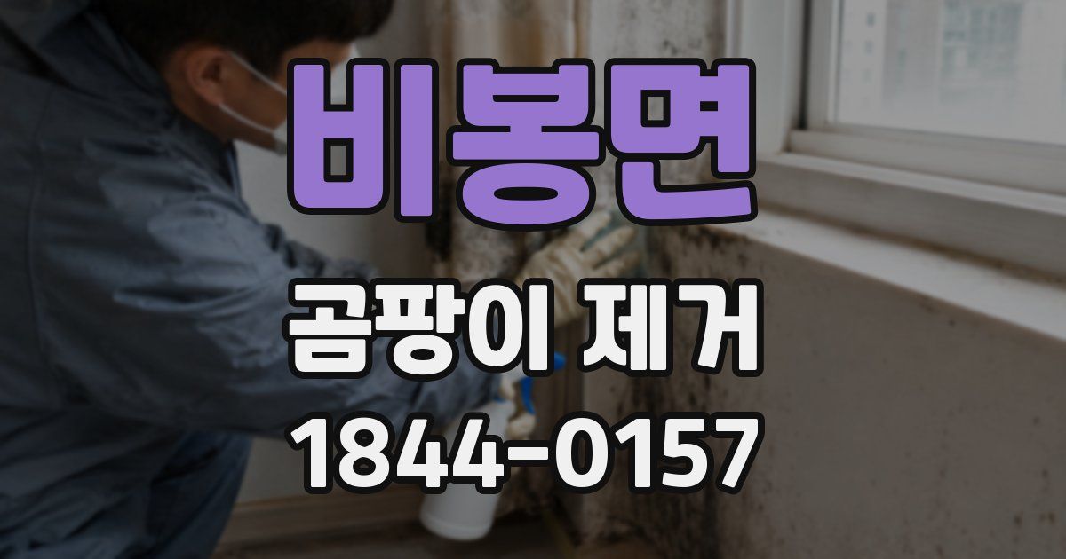 비봉면 곰팡이 제거