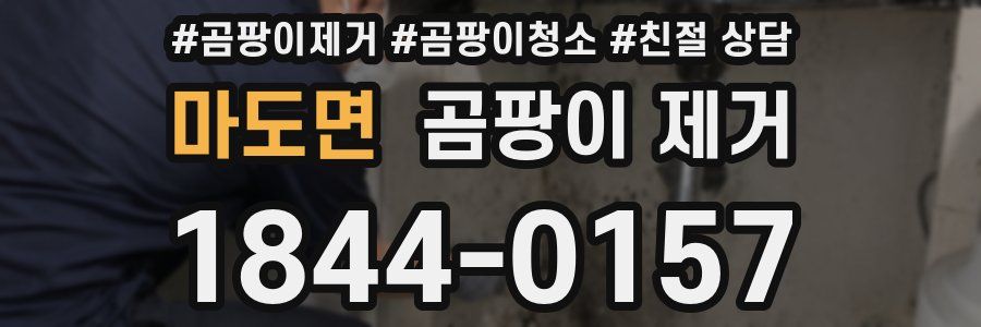 마도면 곰팡이 제거