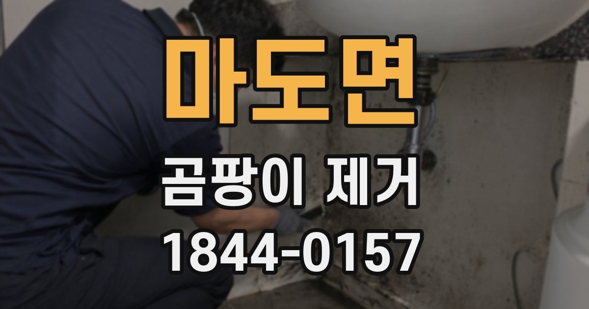마도면 곰팡이 제거