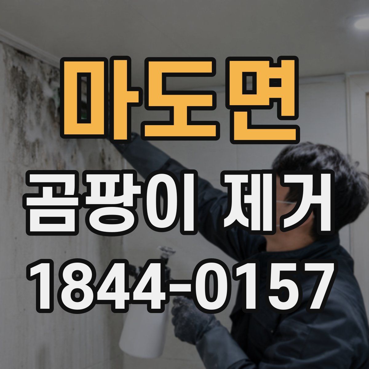 마도면 곰팡이 제거