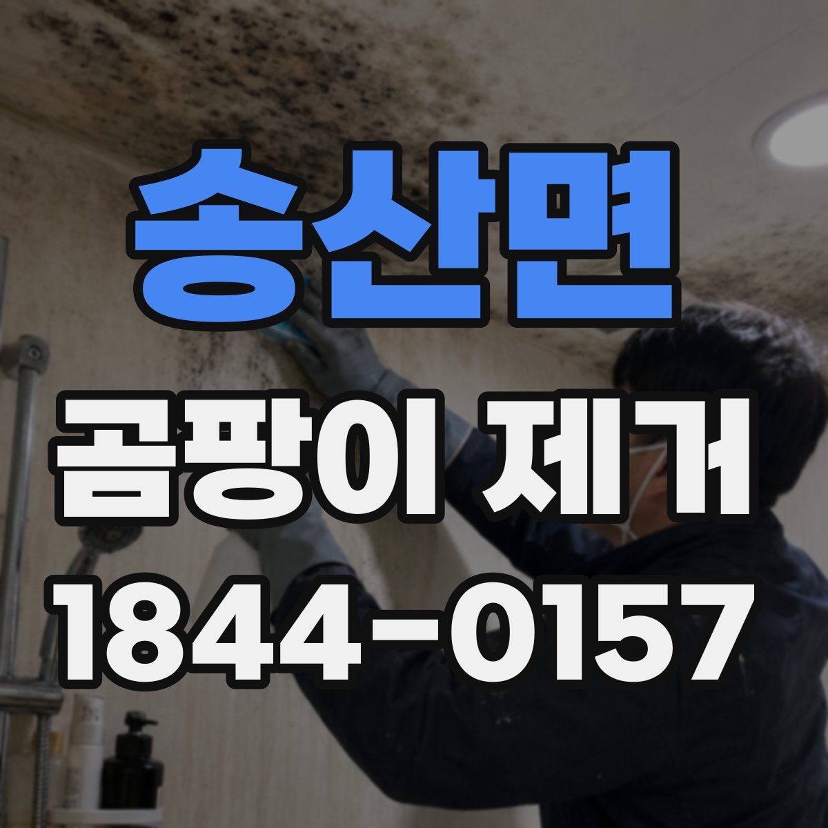 송산면 곰팡이 제거