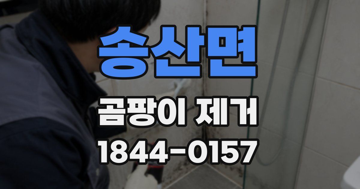 송산면 곰팡이 제거