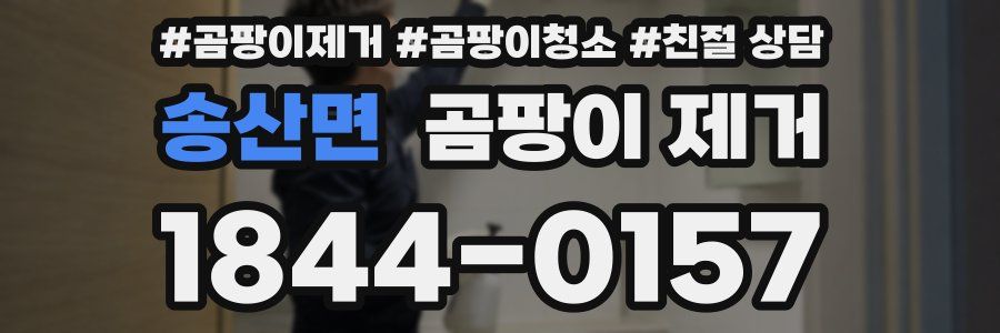 송산면 곰팡이 제거