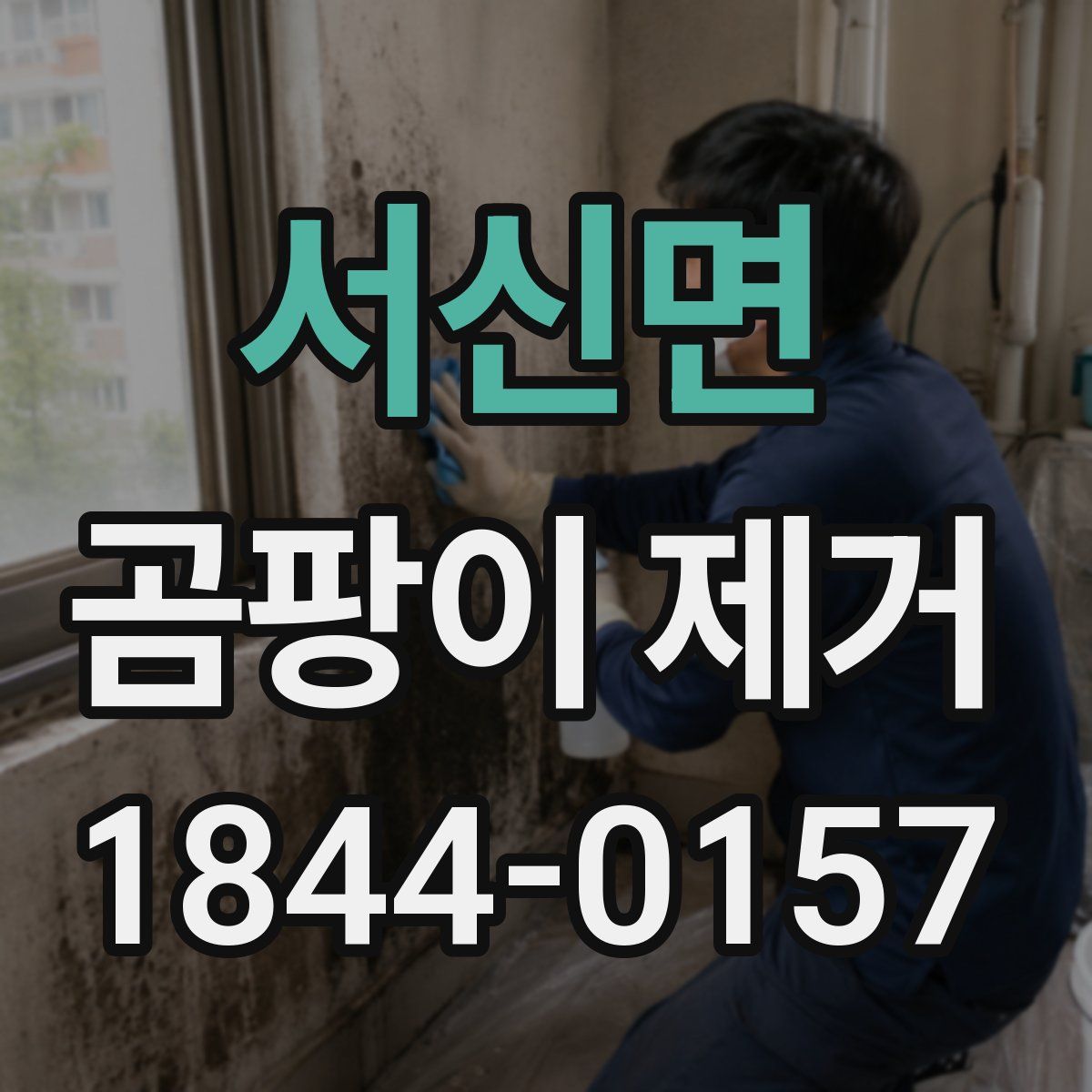 서신면 곰팡이 제거