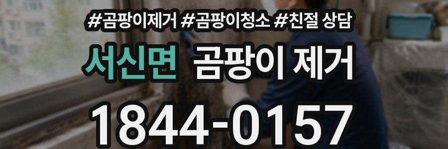 서신면 곰팡이 제거