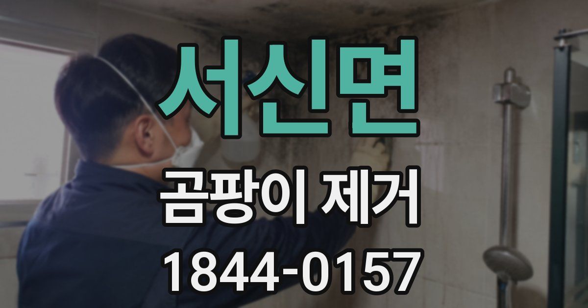 서신면 곰팡이 제거