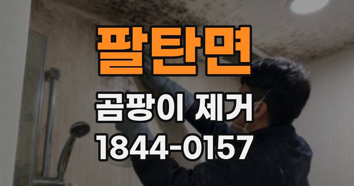 팔탄면 곰팡이 제거