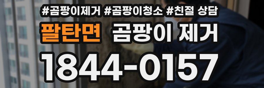 팔탄면 곰팡이 제거