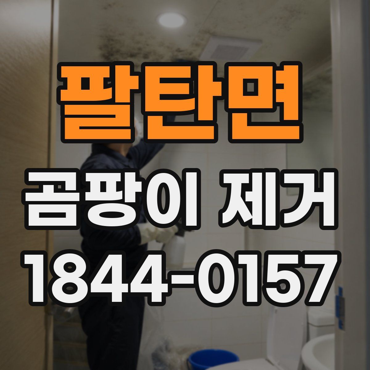 팔탄면 곰팡이 제거