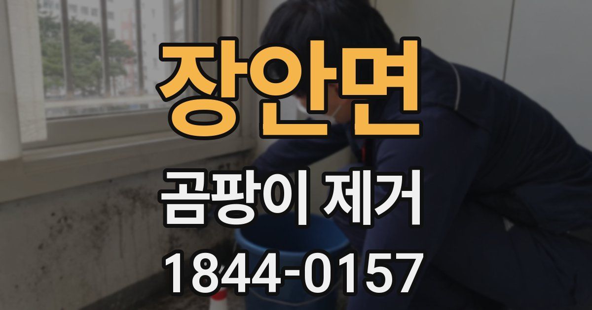 장안면 곰팡이 제거
