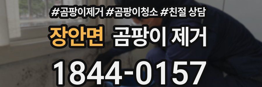 장안면 곰팡이 제거