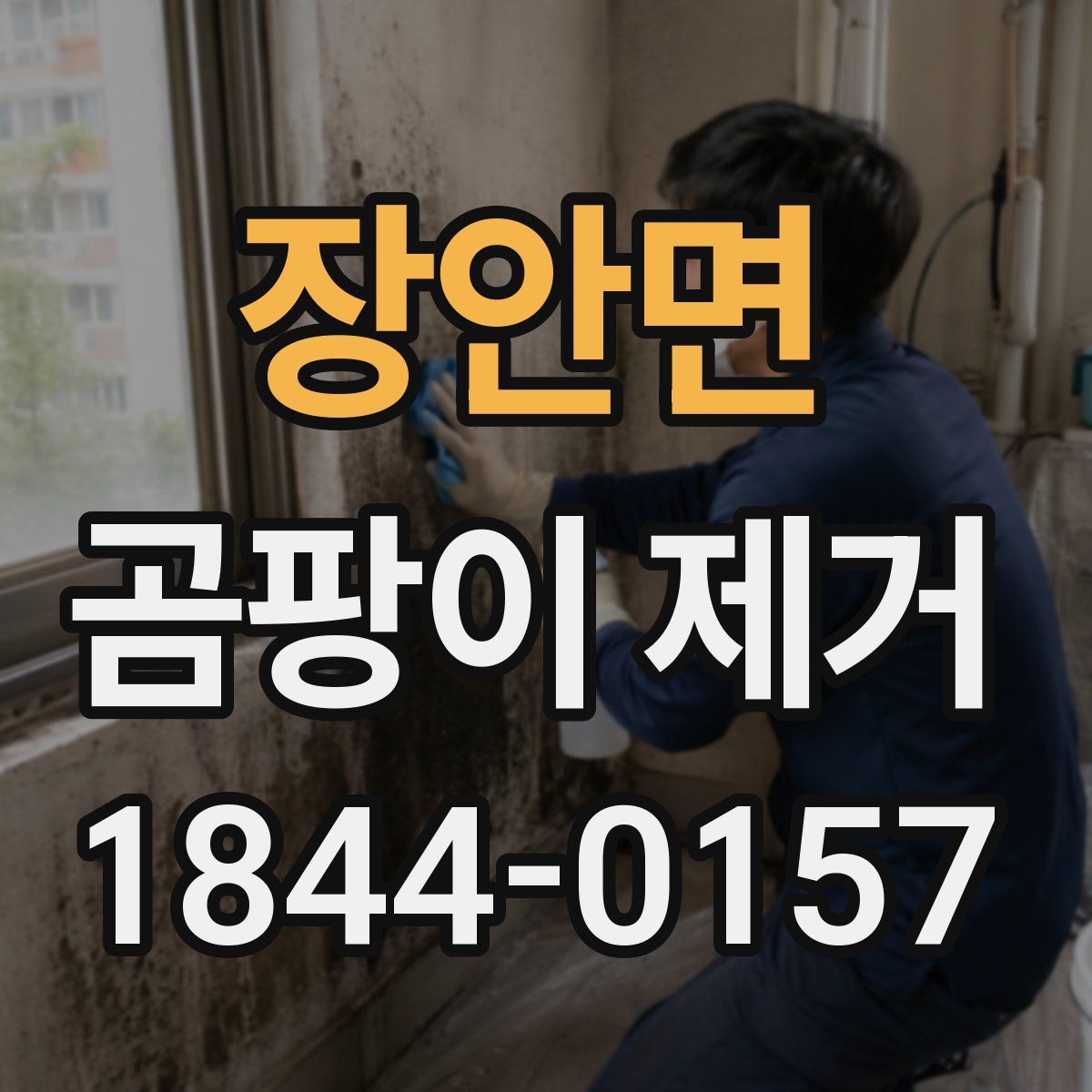 장안면 곰팡이 제거