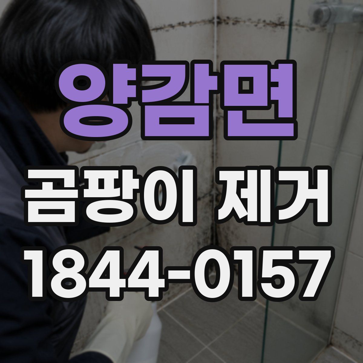 양감면 곰팡이 제거