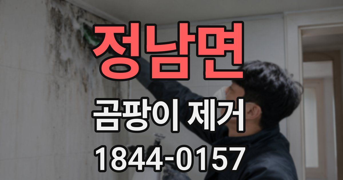 정남면 곰팡이 제거