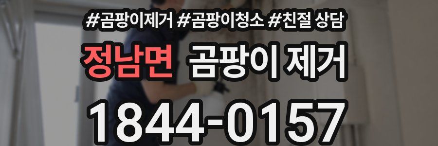 정남면 곰팡이 제거