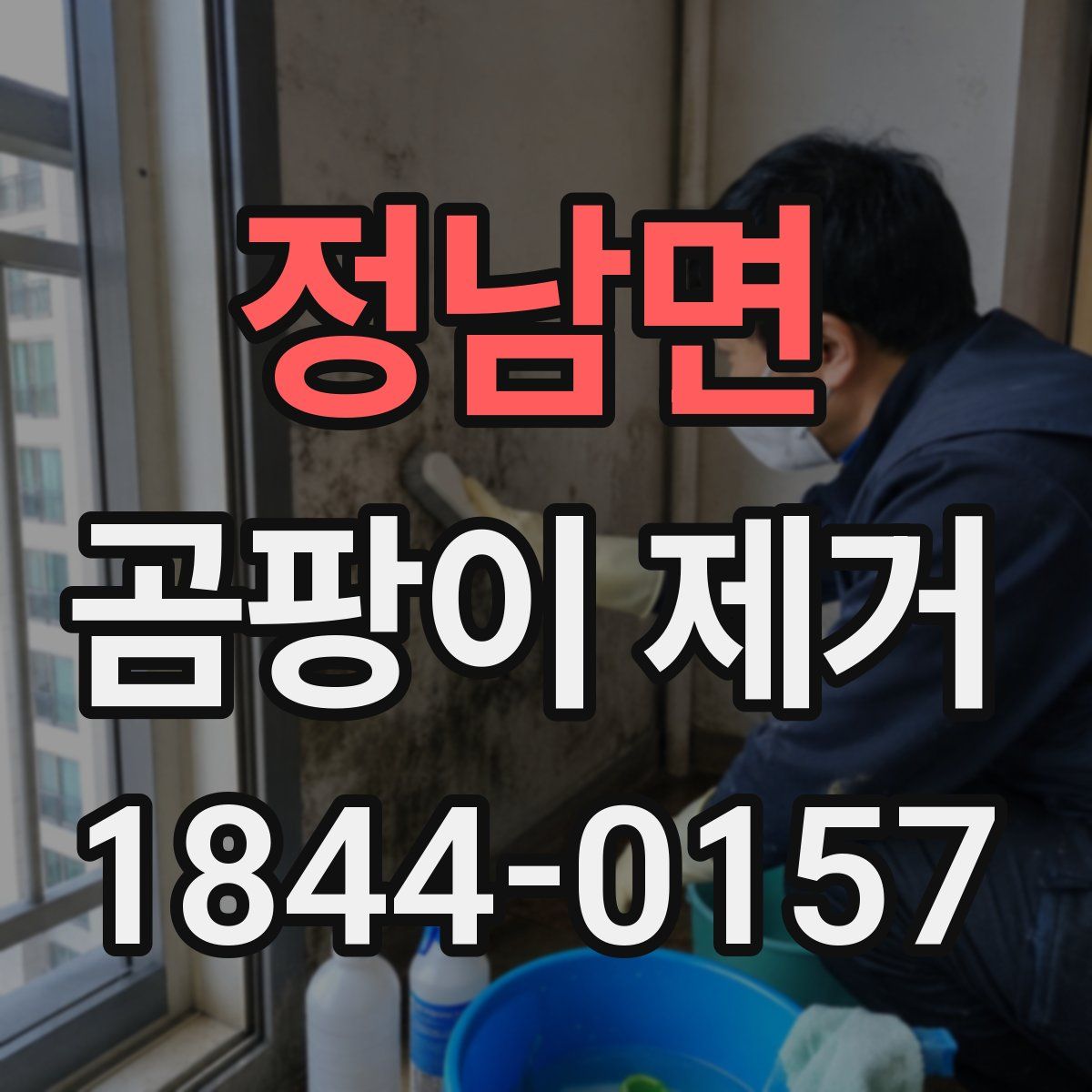 정남면 곰팡이 제거