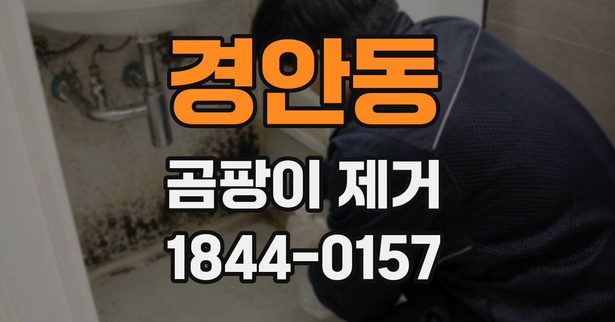 경안동 곰팡이 제거