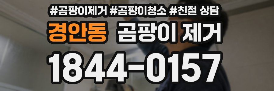 경안동 곰팡이 제거