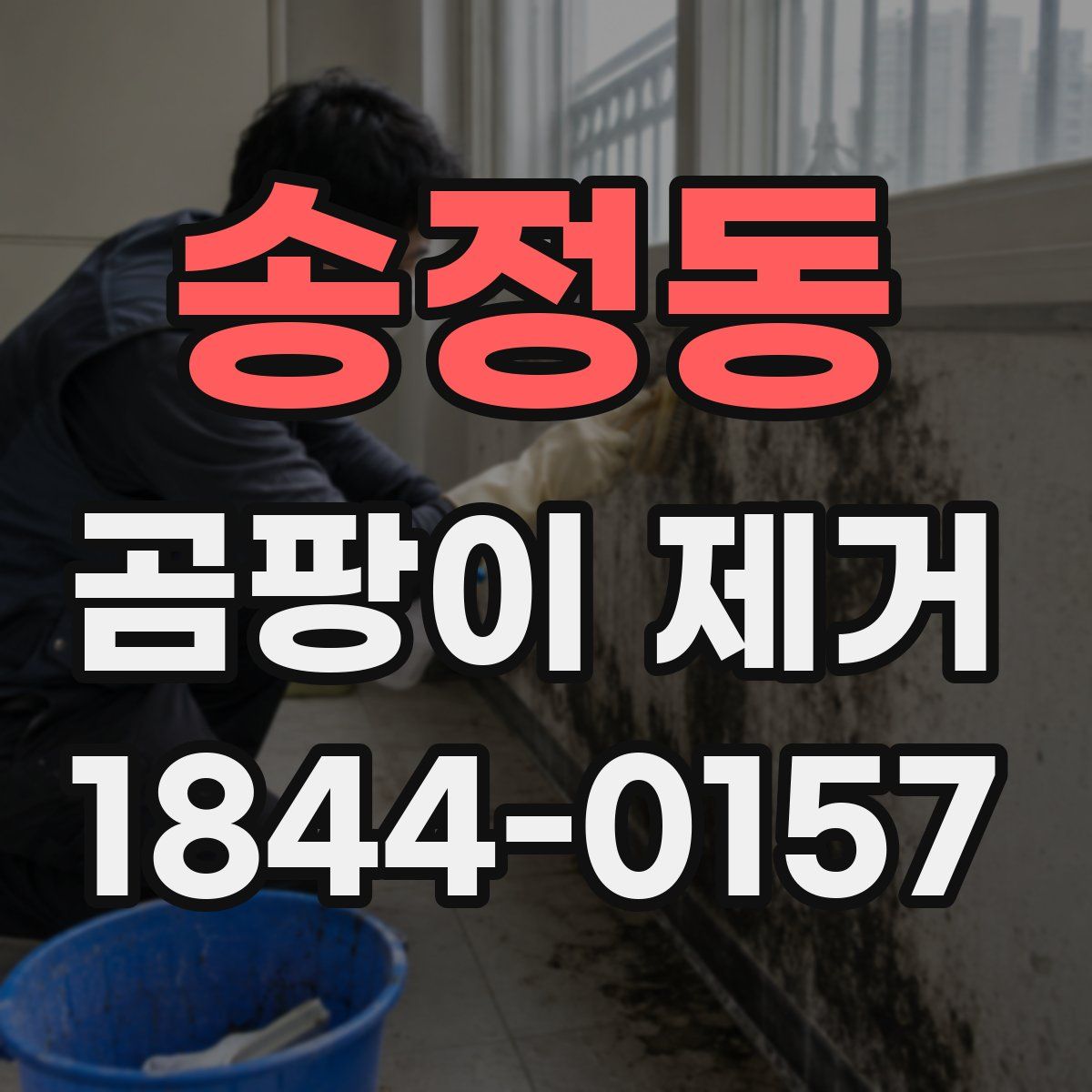 송정동 곰팡이 제거