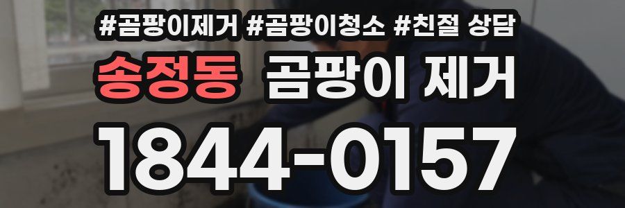 송정동 곰팡이 제거