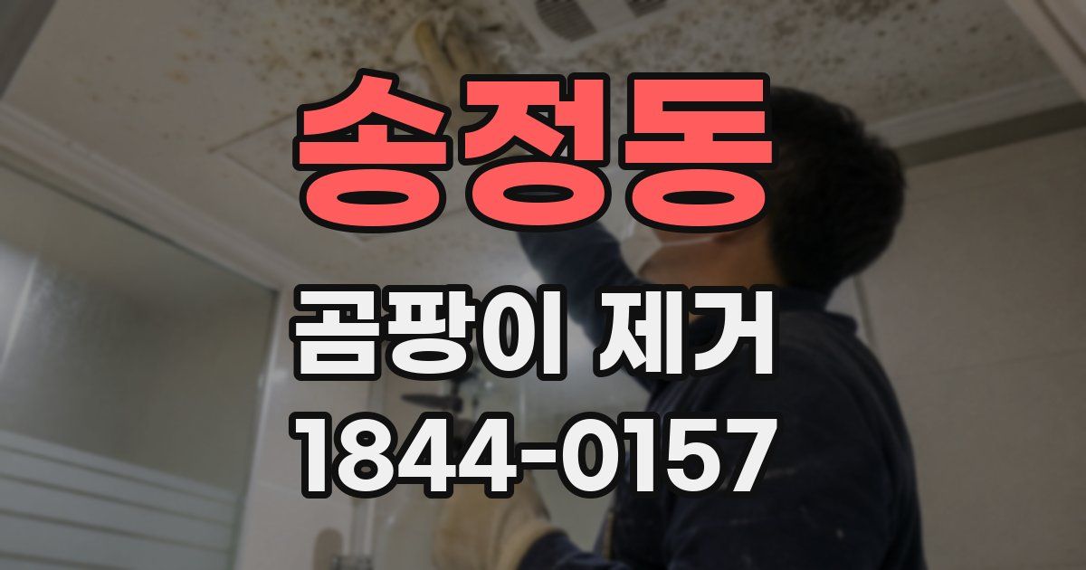 송정동 곰팡이 제거