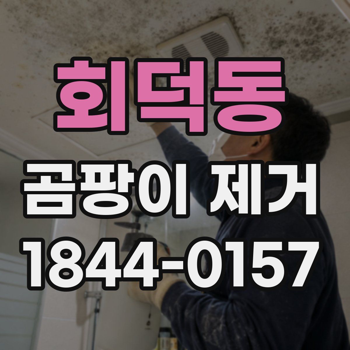 회덕동 곰팡이 제거
