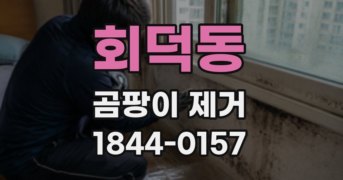 회덕동 곰팡이 제거