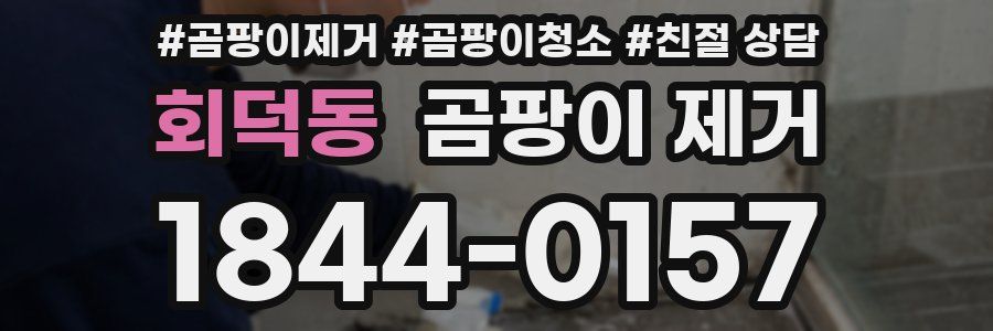 회덕동 곰팡이 제거