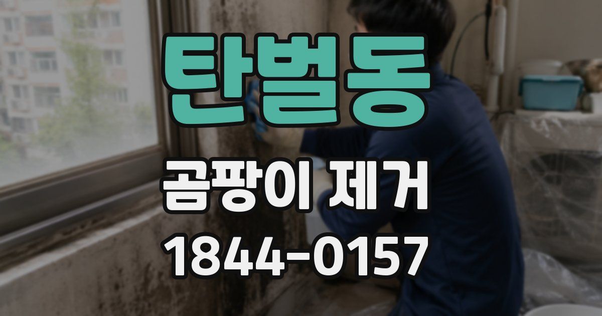 탄벌동 곰팡이 제거