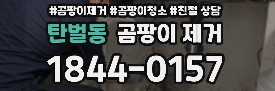 탄벌동 곰팡이 제거