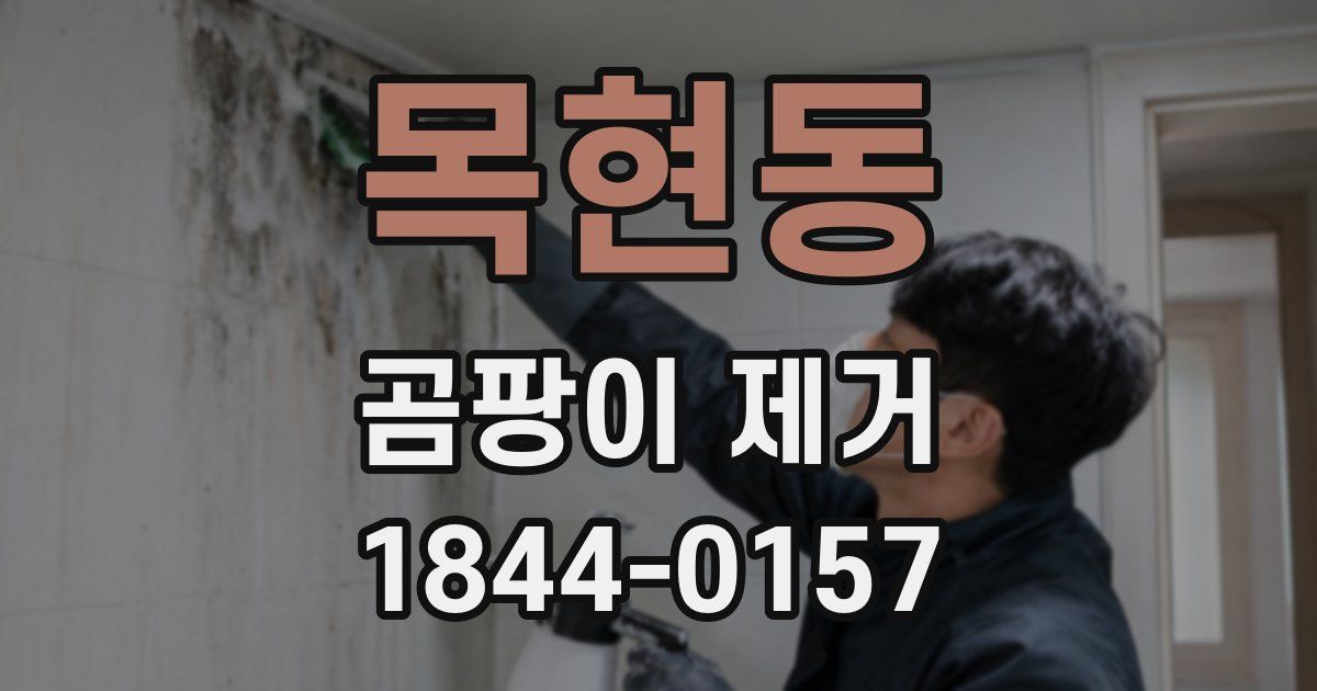 목현동 곰팡이 제거