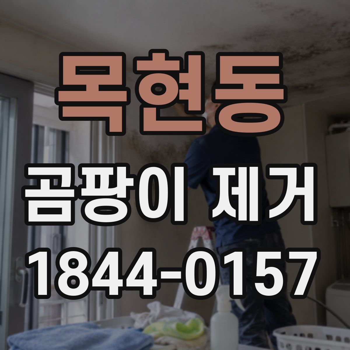 목현동 곰팡이 제거