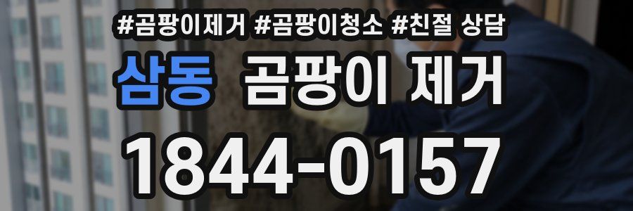삼동 곰팡이 제거