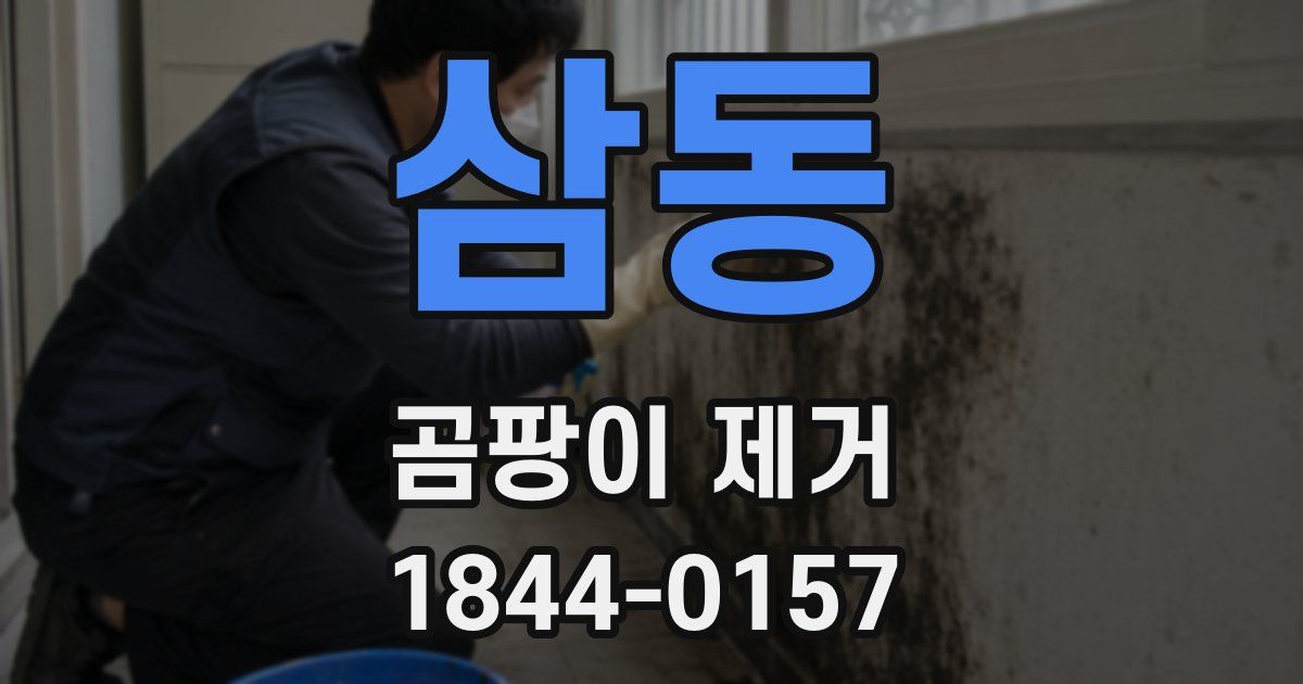 삼동 곰팡이 제거