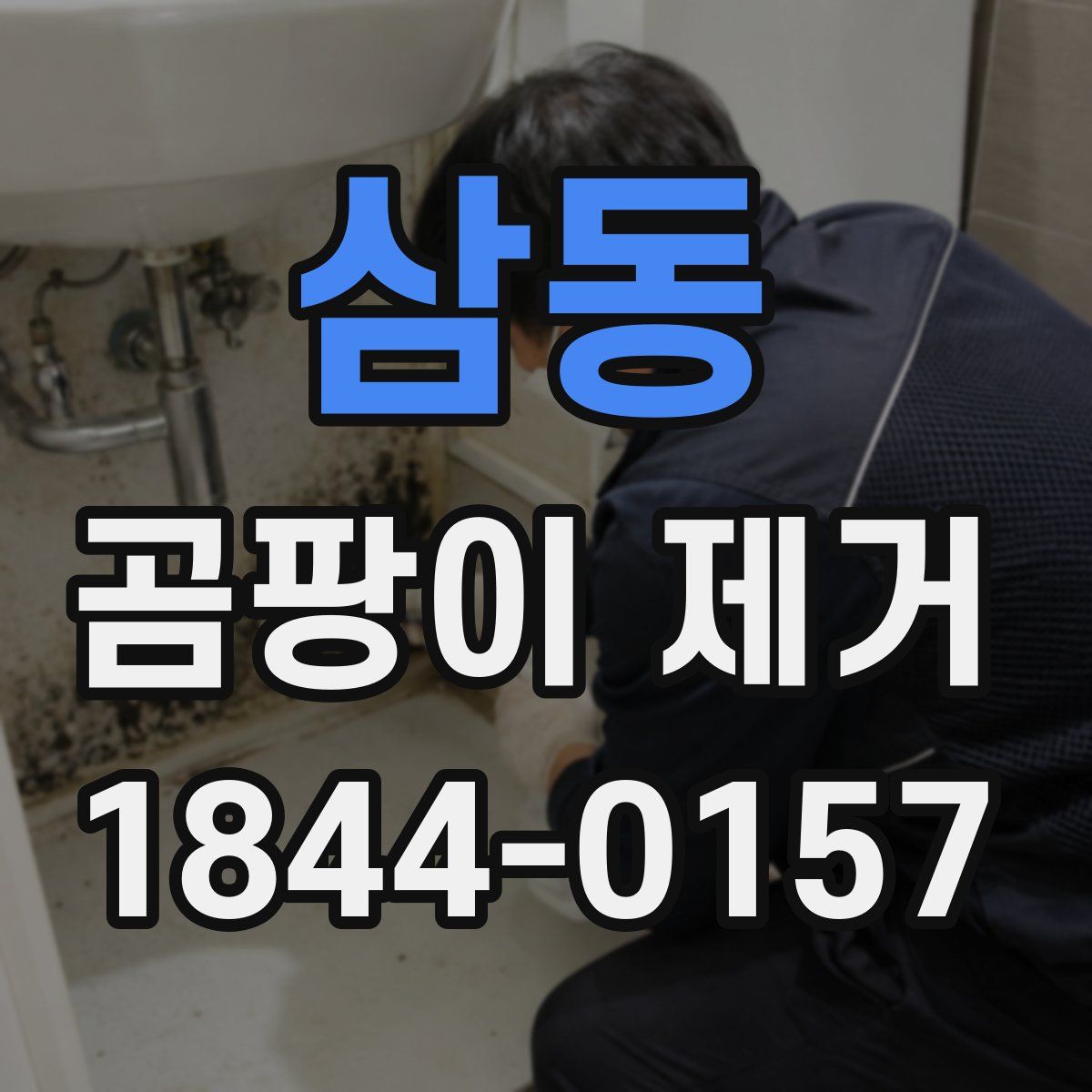 삼동 곰팡이 제거