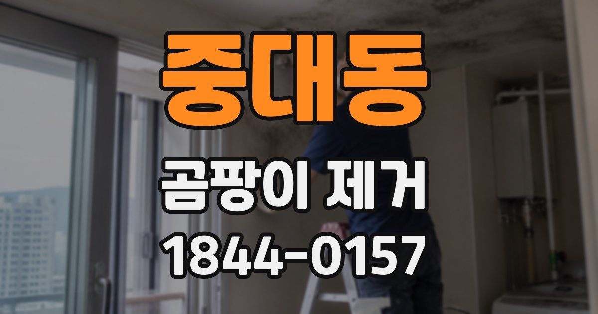 중대동 곰팡이 제거