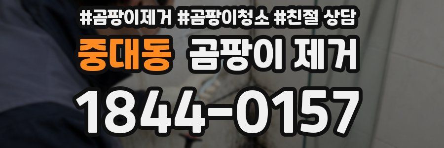 중대동 곰팡이 제거