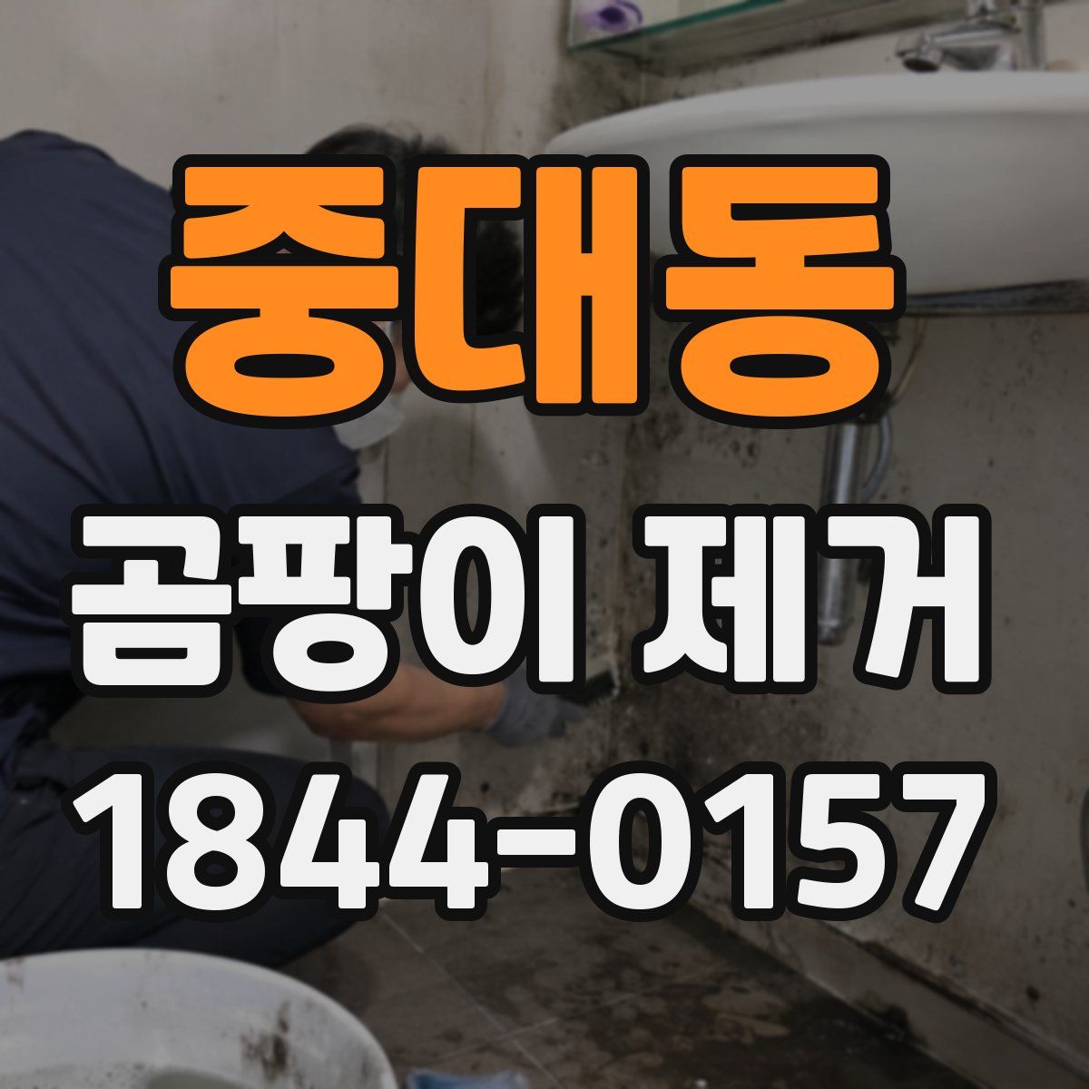 중대동 곰팡이 제거