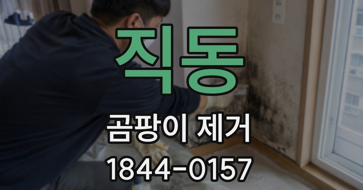 직동 곰팡이 제거