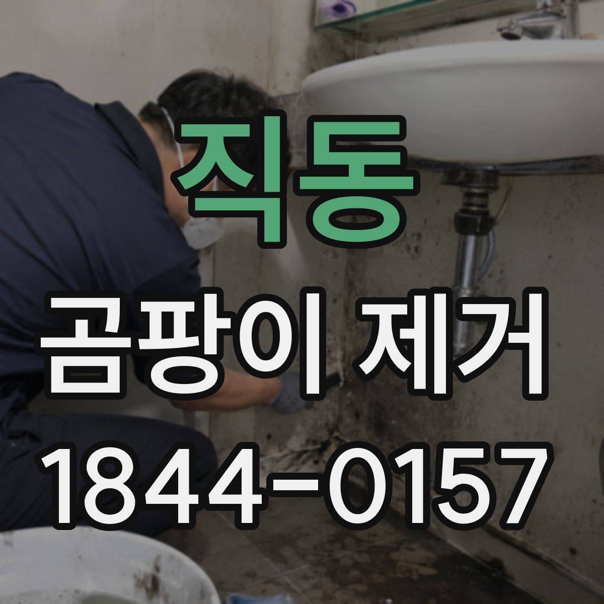 직동 곰팡이 제거