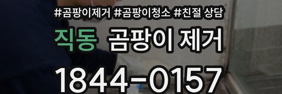 직동 곰팡이 제거