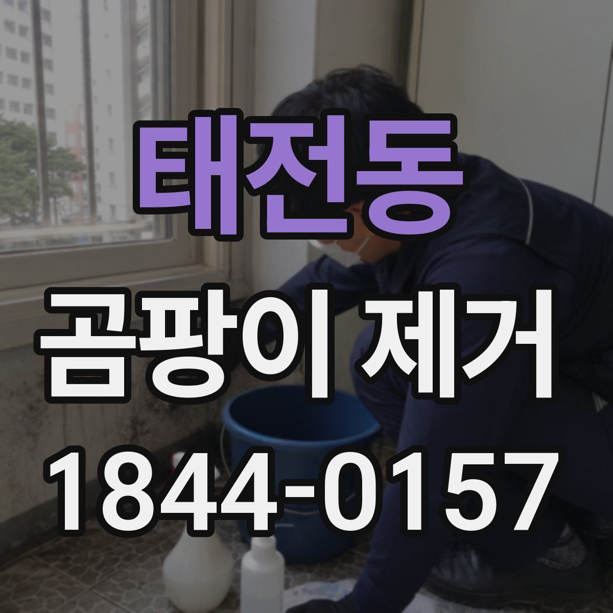 태전동 곰팡이 제거