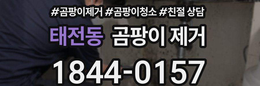 태전동 곰팡이 제거