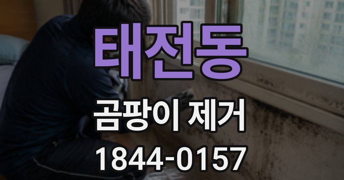 태전동 곰팡이 제거