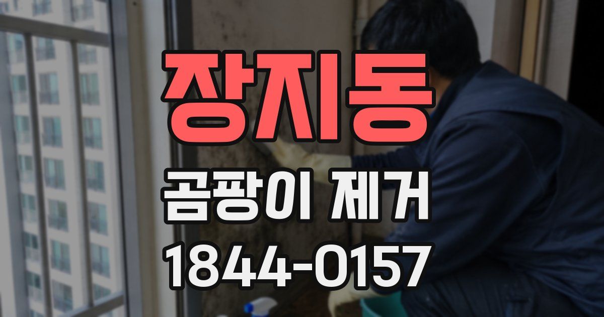 장지동 곰팡이 제거